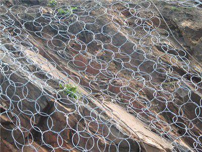 環(huán)形防護網